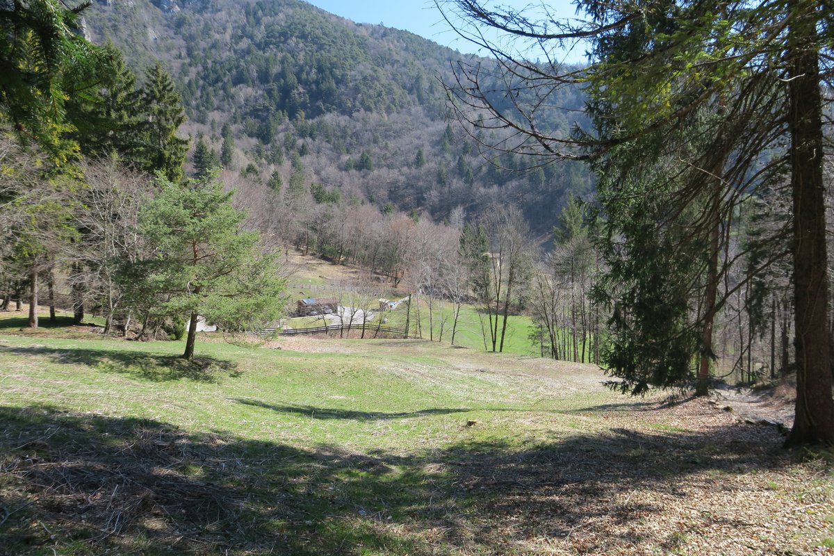Terreno agricolo · Mezzolago — 2