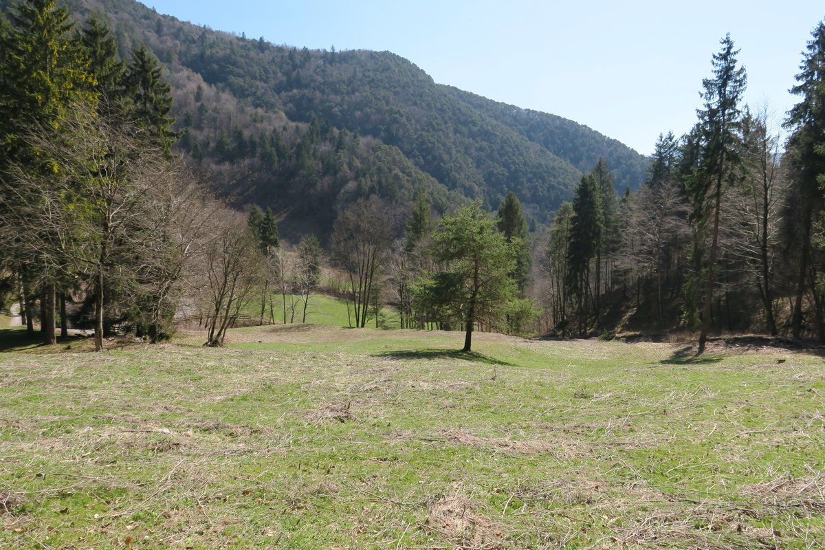 Terreno agricolo · Mezzolago — 3