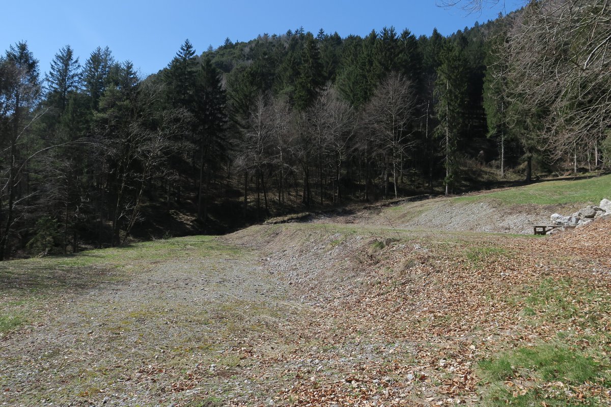 Terreno agricolo · Mezzolago — 4