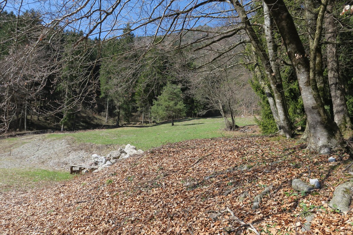 Terreno agricolo · Mezzolago — 5