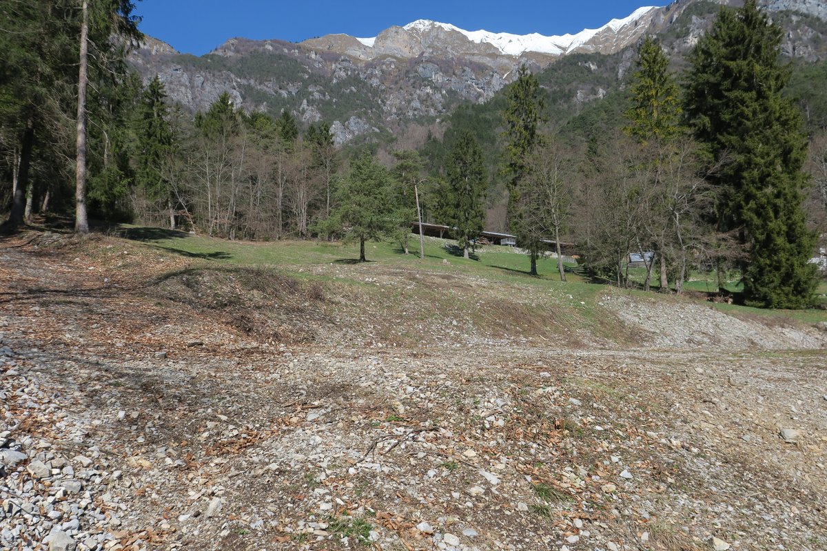 Terreno agricolo · Mezzolago — 10