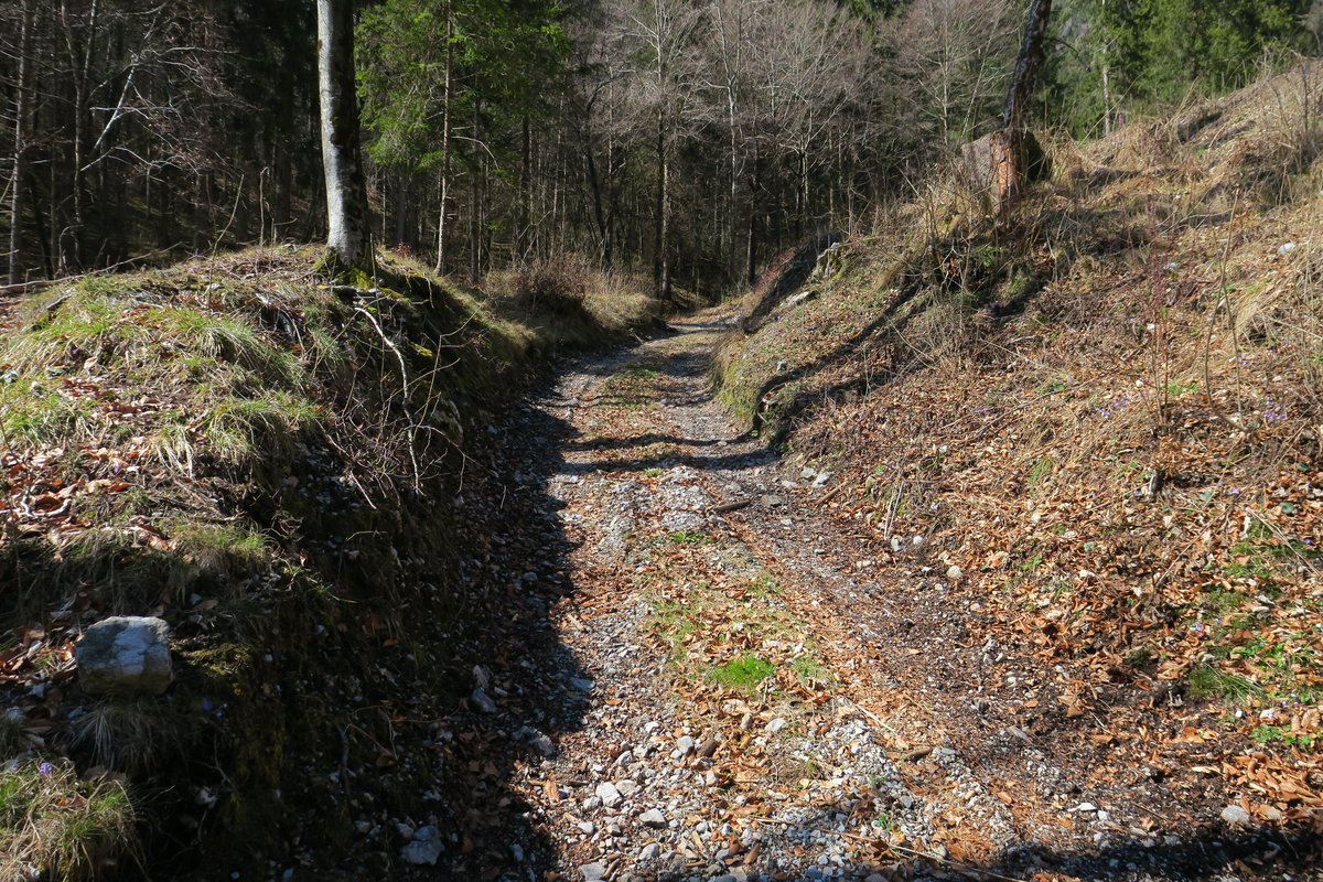 Terreno agricolo · Mezzolago — 11
