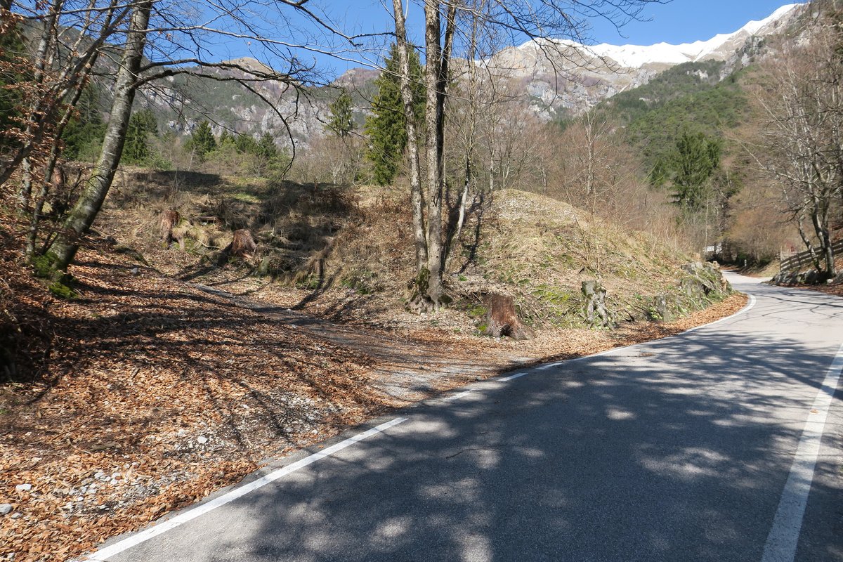 Terreno agricolo · Mezzolago — 12
