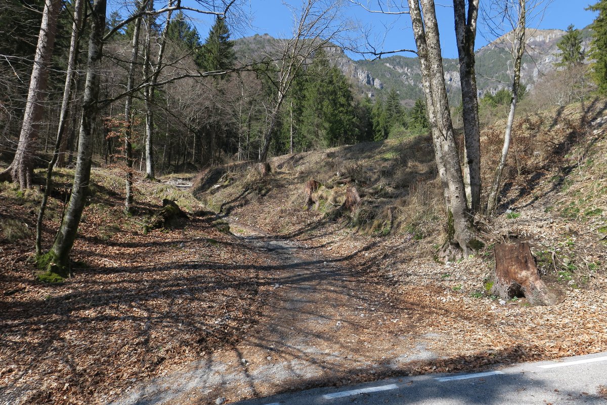 Terreno agricolo · Mezzolago — 13